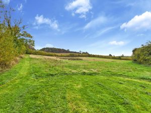 Paddock- click for photo gallery